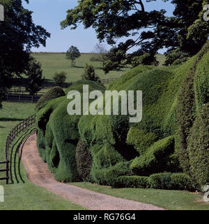 "Breite, abgerundete Formgehölze Kante in großen Country Garden' Stockfoto