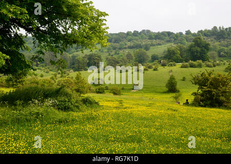 Die Leute sitzen in der buttercup Meadow an Tring Park, Tring, Hertfordshire, Großbritannien Stockfoto