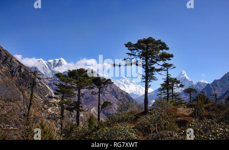 Landschaften entlang Khumbu Valley, Khumjung, Nepal Stockfoto