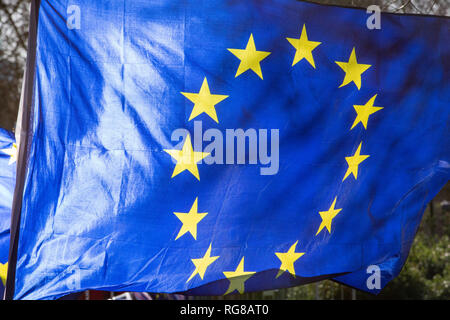 London, Großbritannien. 28 Jan, 2019. Pro-Europäische Union Flaggen auf College Green in Westminster einen Tag vor ein weiterer entscheidender Brexit stimmen. Das britische Parlament die Debatte über einen "Plan B" Brexit plan von Theresa's können Regierung am 29. Januar stimmen, und, es war am Donnerstag angekündigt. Mai erlitt eine der größten Niederlagen in der Britischen politischen Geschichte Anfang dieser Woche, als Ihr Widerrufsrecht Vereinbarung - für zwei Jahre mit der EU ausgehandelt - mit 230 Stimmen Credit: Tommy London/Alamy Leben Nachrichten wurde abgelehnt Stockfoto