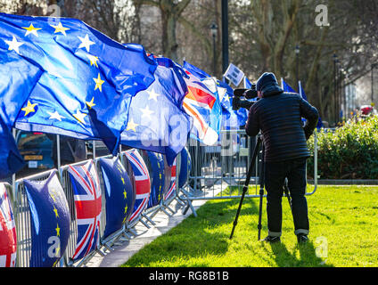 London, Großbritannien. 28 Jan, 2019. Pro-Europäische Union Flaggen auf College Green in Westminster einen Tag vor ein weiterer entscheidender Brexit stimmen. Das britische Parlament die Debatte über einen "Plan B" Brexit plan von Theresa's können Regierung am 29. Januar stimmen, und, es war am Donnerstag angekündigt. Mai erlitt eine der größten Niederlagen in der Britischen politischen Geschichte Anfang dieser Woche, als Ihr Widerrufsrecht Vereinbarung - für zwei Jahre mit der EU ausgehandelt - mit 230 Stimmen Credit: Tommy London/Alamy Leben Nachrichten wurde abgelehnt Stockfoto