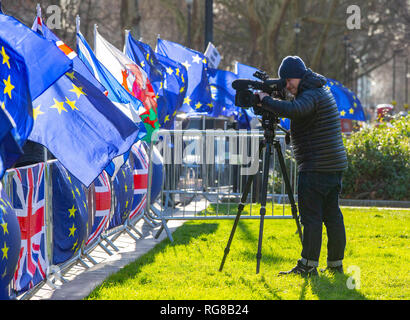 London, Großbritannien. 28 Jan, 2019. Pro-Europäische Union Flaggen auf College Green in Westminster einen Tag vor ein weiterer entscheidender Brexit stimmen. Das britische Parlament die Debatte über einen "Plan B" Brexit plan von Theresa's können Regierung am 29. Januar stimmen, und, es war am Donnerstag angekündigt. Mai erlitt eine der größten Niederlagen in der Britischen politischen Geschichte Anfang dieser Woche, als Ihr Widerrufsrecht Vereinbarung - für zwei Jahre mit der EU ausgehandelt - mit 230 Stimmen Credit: Tommy London/Alamy Leben Nachrichten wurde abgelehnt Stockfoto