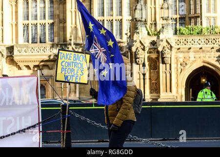 London, Großbritannien. 28. Jan 2019. Weiterhin ein Verfechter gegenüber dem Haus, Westminster. Credit: Claire Doherty/Alamy leben Nachrichten Stockfoto