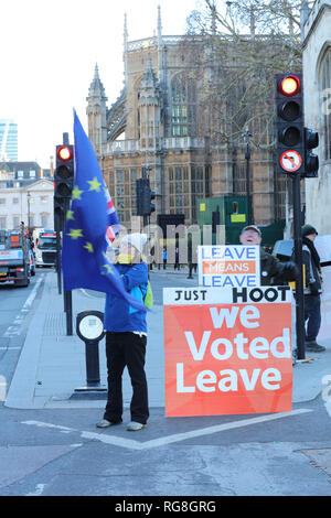 London, Großbritannien. 29. Januar 2019. Anti und Pro Brexit Demonstranten vor dem Parlament, London, UK. Credit: Joe Kuis/Alamy leben Nachrichten Stockfoto