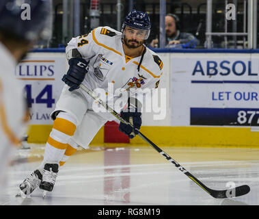 Jacksonville Eisgruben steigt vorwärts Garet Jagd (24) Während des Warm-ups für ein echl Professional Hockey Spiel gegen die Florida Everblades am Veterans Memorial Arena in Jacksonville, Fla., Samstag, 31.01.26., 2019. (Gary Lloyd McCullough/Cal Sport Media) Stockfoto