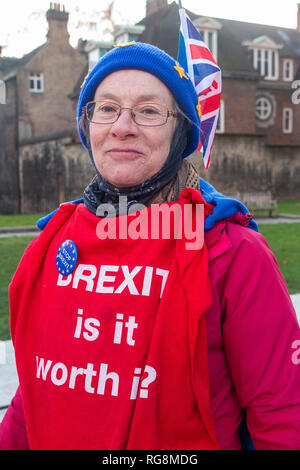 London, England, 28. Januar 2019; Ein anti brexit Demonstrant mit europäischen und britischen Flaggen im Winter Sonnenschein Credit: Nick Moore/Alamy Leben Nachrichten. Stockfoto