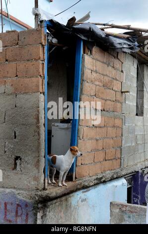 Havanna, Kuba. 28 Jan, 2019. Ein beschädigtes Haus ist in der Tornado gesehen - betroffenen Bereich in der Gemeinde Regla in Havanna, Kuba, Jan. 28, 2019. Einem leistungsfähigen Tornado durch die kubanische Hauptstadt auf Sonntag Nacht, wobei drei Menschen getötet und 172 weitere verletzt. Credit: Joaquin Hernandez/Xinhua/Alamy leben Nachrichten Stockfoto
