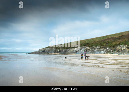 Bei Ebbe Leute ihre Hunde am Strand von Polly Porth Witz in Newquay Cornwall. Stockfoto