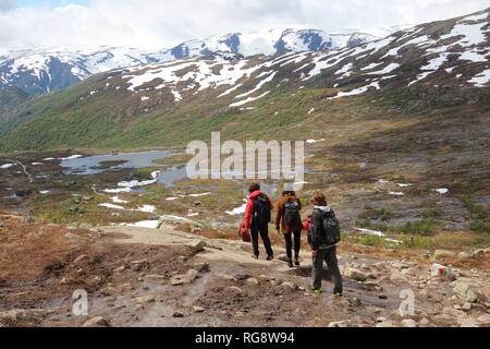 TROLLTUNGA, Norwegen - 16. JULI 2015: Menschen gehen der Weg nach Troll's Zunge (trolltunga) Rock in Hordaland County, Norwegen. Die 22 km Strecke Trolltung Stockfoto