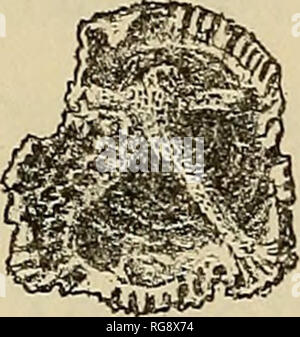 . Bulletin - United States National Museum. Wissenschaft. . Bitte beachten Sie, dass diese Bilder sind von der gescannten Seite Bilder, die digital für die Lesbarkeit verbessert haben mögen - Färbung und Aussehen dieser Abbildungen können nicht perfekt dem Original ähneln. extrahiert. United States National Museum, Smithsonian Institution, Usa. Abt. des Innenraums. Washington: Smithsonian Institution Press, [etc. ]; Für Verkauf durch die Supp. von Docs. , Us Govt Drucken. Aus. Stockfoto