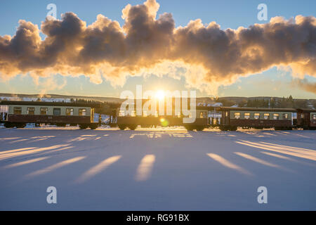 Deutschland, Sachsen-Anhalt, Trans-Harz Bahnhof der Harzer Schmalspurbahn gegen Abend Sonne Stockfoto