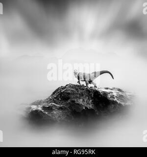 Ein Spielzeug Dinosaurier auf einem Stein, Schwarze und Weiße, lange Belichtung Stockfoto