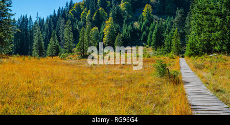 Deutschland, Bayern, Allgäu, Huehnermoos an Soellereck in der Nähe von Oberstdorf. Stockfoto