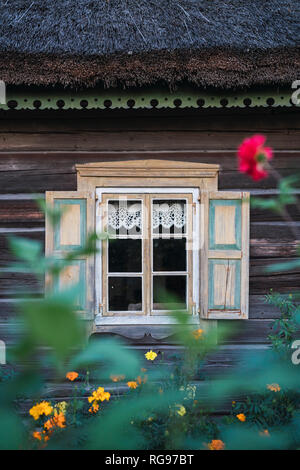 Reetgedeckte Haus, Teilansicht Stockfoto
