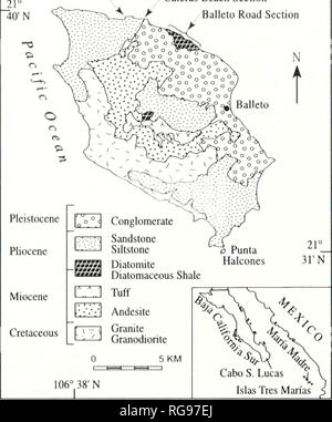 . Bulletins der amerikanischen Paläontologie. Baja California Stratigraphie: Carreno und Smith 103 für Unterschiede in der Zusammensetzung zwischen den Wirbeltieren sediment-Lager Felsen und die weiter im Norden, aber detaillierte Kartierung und Sedimentologischen Studien erforderlich sind. Concliilioii Espinosa-Arrubarrena (1979) korreliert die Betten im Rancho Bucureasa mit dem Tirabuzon Bildung Der boleo Becken auf der Grundlage der Haifisch Zähne. Moliuscan Fossilien von unbenannten, nachgearbeitet, marinen Sedimenten der südlichen Cabo Trog auch eine Reihe von Ta. xa gemeinsam mit der späten mittleren bis späten Miozän im Bereich im Südwesten Stockfoto