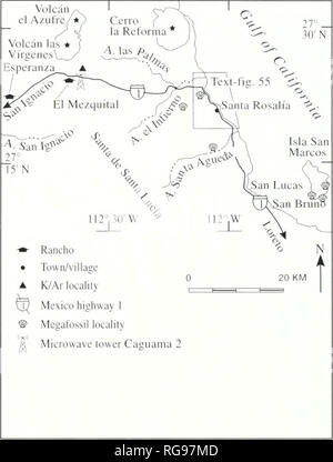 . Bulletins der amerikanischen Paläontologie. Baja California Stratigraphie: Carreno und Smith 77 Isla San Esteban Platte 2. Spalte 33 (Text-Bild. 46, Anlage I) Spalte wird aus Desonie (1992), der auch eine Aufklärung geologische Karte veröffentlicht. Maßstab 1 cm 0,4 km Isla San Esteban ist in erster Linie eine calc-alkalischen volca-NIC-Insel in eine Zone der aktiven RIFTING ca. 15 km südwestlich von Isla Tiburon. Desonie (1992) abgebildet ein Bereich marine fossiliferous Sandstein in der Nähe der Mündung eines großen West nach Ost Entwässerung als Ar bekannt - royo Limantour. Sie berichtete einen Dazitischen Fluss unter der marine Felsen mit einem Stockfoto