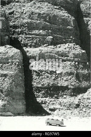 . Bulletins der amerikanischen Paläontologie. Baja California SrRAriGRAPH: Carreno und Smith 65. Text-Abbildung 40.- Split Berg Gortie. Miozän rötlich-braunen alluvialen tan Ablagerungen in Fish Creek Washington Ansicht West an Felsen ausgesetzt, dass Woodward (1974) bezogen auf die Anza Formation (Bor-rego Berg SE7"; - miniitc Viereck SE'4, NW" 4 Sec. 2.*^. T 1.1 S. R S E). Die alUiNial Sedimente zugrunde liegen, der "Unteren ausmündungen Betten." Die jetzt als stur/Strom, die in den Split Gebirgsbildung (D. angesehen R. Kerr, schriftliche Kommunikation, 2004). Foto, J. C. hmle. Jr. Ich 9. S 4. Gips, wie auf die GEOLO Stockfoto