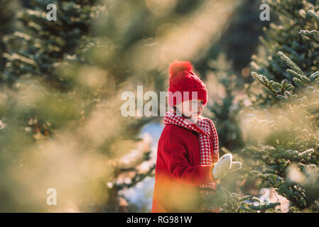 Mädchen wählen einen Weihnachtsbaum auf a Christmas Tree Farm, United States Stockfoto