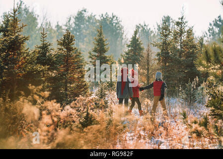 Drei Kinder einen Weihnachtsbaum auf a Christmas Tree Farm, United States Stockfoto