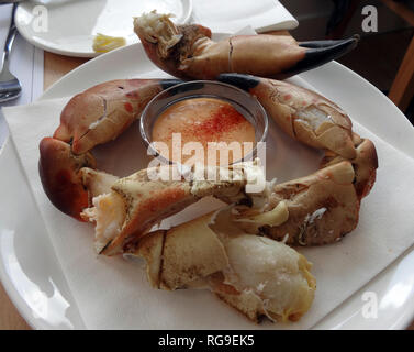 Riesige, frisch, Crab Claws wie diese können an der berühmten Loch Fyne Austern Bar am Ufer des Loch Fyne im Westen von Schottland gekauft werden. Alan Wylie/ALAMY. © Stockfoto