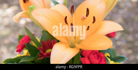 Eine schöne Nahaufnahme Foto von einem Blumenstrauß mit einem orangefarbenen Tiger Lily wird im Mittelpunkt. Stockfoto