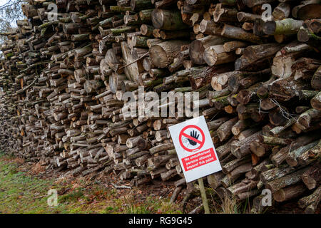 Große, verwaltete Wald Holz Stapel mit "Kein Zutritt für unbefugte Personen jenseits dieser Stelle'-Zeichen erlaubt. Stockfoto