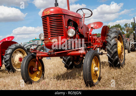 1952 Massey Harris Pony Traktor auf Anzeige an die 2018 Starten Griff Club Sommer zeigen, Norfolk, Großbritannien. Stockfoto