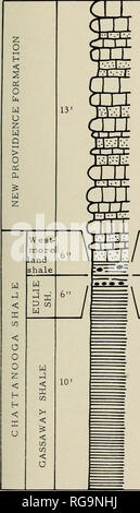 . Bulletins der amerikanischen Paläontologie. Paläontologie. Bewohner von kleineren Foraminiferen: Conkin 187 ORT T-2. * 4. Kalkstein und Schluffigen Kalkstein, hell grünlich grau, mit Olive grau shale Scheitel. 3. Schiefer, schwarz, spaltbar, mit ein paar Phosphatdüngemittel Knötchen. * 2. Schiefer, matt Olive grau, mit Schicht von knötchen an der Basis. 1. Schiefer, schwarz, spaltbar,. Bitte beachten Sie, dass diese Bilder sind von der gescannten Seite Bilder, die digital für die Lesbarkeit verbessert haben mögen - Färbung und Aussehen dieser Abbildungen können nicht perfekt dem Original ähneln. extrahiert. Cornell University; Paläontologische Stockfoto