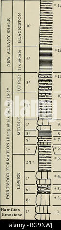 . Bulletins der amerikanischen Paläontologie. Paläontologie. Bewohner von kleineren Foraminiferen: Conkin 171 ORT K-50. ! 13 Schiefer, schwarz und grau Schichten inter gebettet. * 1 Z Schiefer, schwarz, Spaltbar; mit Schizobolus Orbiculoides lodiensis concentricus, Schiefer, grau, kalkhaltige, mit harten Tonschichten überlagert. Schiefer, subfissile, schwarz, kalkhaltigen Lingulopora williamsana. Kalkstein. Schiefer, spaltbar, schwarz; keine Fossilien aus Kalkstein und Schiefer. Schiefer, Kalk, schwarz. Schiefer, erdig, grünlich bis Schwarz. * 4. Kalkstein, Braun. * 3. Kalkstein, shaly, grau bis schwarz. * 2. Kalkstein, Braun. Kalkstein.. Bitte beachten Sie t Stockfoto