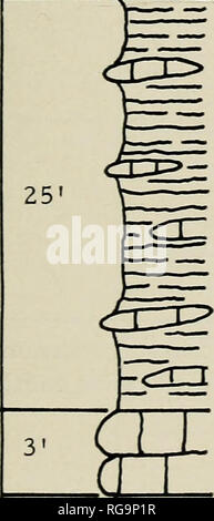 . Bulletins der amerikanischen Paläontologie. Paläontologie. Bewohner von kleineren Foraminiferen: Conkin 161 ORT K-15 in h3^5 o-i w 10 30 6. Kalkstein, feinkörnige zu dichten, blau grau. * 5. Kalkstein, fossiliferous, blau grau.. * 4. Schiefer, Kalkstein Linsen; bryozoen. 3. Kalkstein, massive, crinoidal; bryozoen. - " " - '#2. Schiefer, crinoidal Streifen; bryozoen 1. Kalkstein, massive, grau; bryozoen. Bitte beachten Sie, dass diese Bilder aus gescannten Seite Bilder, die digital haben für die Lesbarkeit verbessert - Färbung und Aussehen dieser Abbildungen können nicht p Stockfoto