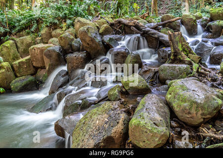 Das Wasser fällt über einen Felsen, der Kleine unterschreitet untere Geheimnis Geheimnis fällt, fällt, North Fork Wailua River, Kauai Stockfoto