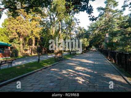 BATUMI, Georgien - Januar 11, 2019: Reisen in schöne moderne Batumi. Batumi Boulevard. Georgien Stockfoto