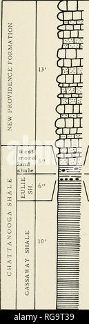 . Bulletins der amerikanischen Paläontologie. Bewohner von kleineren Foraminiferen: Conkit 187 ORT T-2. *4, Kalkstein und Schluffigen Kalkstein, hell grünlich grau, mit Olive grau shale Scheitel. 3. Schiefer, schwarz, spaltbar, mit ein paar Phosphatdüngemittel Knötchen. 2. Schiefer, matt Olive grau, mit Schicht von knötchen an der Basis. 1. Schiefer, schwarz, Spaltbar.. Bitte beachten Sie, dass diese Bilder sind von der gescannten Seite Bilder, die digital für die Lesbarkeit verbessert haben mögen - Färbung und Aussehen dieser Abbildungen können nicht perfekt dem Original ähneln. extrahiert. Paläontologische Forschung Institution (Ithaca, N. Y Stockfoto