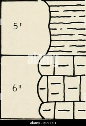 . Bulletins der amerikanischen Paläontologie. Bewohner von kleineren Foraminiferen: Conkin 185 ORT I-l 10' 9,5''â¢. Schiefer, Dunkelgrau, Strukturlack, non-marine. - * 7. Schiefer, Tonig, bräunlich buff Grau zu Grau bis oliv; fossiliferous. 6. Kalkstein. 5. Abgedeckt. Â" 4. Schiefer, Fan zu Grau. (-" 111 3. Kalkstein, shaly, Light Olive grau, rr " 1T^ Wetter ochreous.. 2. Schiefer; keine sannple genommen. Â â" - I. Kalkstein, shaly, Light Olive grau.. Bitte beachten Sie, dass diese Bilder aus gescannten Seite Bilder, die digital für die Lesbarkeit verbessert haben mögen - Färbung und Aussehen dieser extrahiert werden Stockfoto