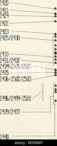 . Bulletins der amerikanischen Paläontologie. 314 Bulletin 357 111 B Ändern von "Meer I e- 12, con+d m13 TL U33 zm/zm-2105/2119-2193^101 - 2192 = 102 -. Bitte beachten Sie, dass diese Bilder sind von der gescannten Seite Bilder, die digital für die Lesbarkeit verbessert haben mögen - Färbung und Aussehen dieser Abbildungen können nicht perfekt dem Original ähneln. extrahiert. Paläontologische Forschung Institution (Ithaca, N.Y.); Columbia University. Ithaca, N.Y., paläontologische Forschung Institution [etc. ] Stockfoto