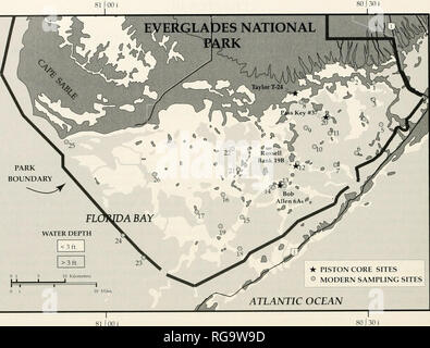 . Bulletins der amerikanischen Paläontologie. 200 Bulletin 361 81 J00 i25 j00 Ich. - 25 J00! 81100 80 J30i Texl - Abbildung L-Karte von Florida Bay mit der Position von 26 Messstellen und vier Adern. Begrenzung des Everglades National Park von Bold gestrichelte Linie dargestellt wird. In Tabelle 1 sind die Längen- und Breitengrade. Danksagung Die Arbeit wurde in Zusammenarbeit mit Col vorgenommen wurde - Ligen in einer Reihe von anderen Agenturen, einschließlich South Florida Water Management District, nationalen ozeanischen und atmosphärischen Leitung und den Everglades Nationale Park. Wir möchten Ihnen für Ihre Zusammenarbeit und Unterstützung danken. Stockfoto