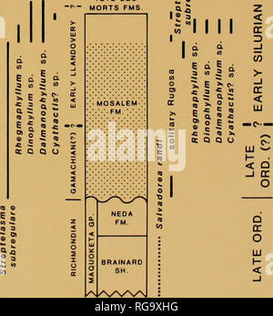 . Bulletins der amerikanischen Paläontologie. ELWOOD SCHWEIZER^ BLANDING UND TÊTE DE^- MORTS FMS.. (WEST) (Osten) Nordosten Nordwesten NORDOSTEN ILLINOIS MISSOURI Illinois und Iowa Text-Abbildung lO.-Composite stratigraphischen Abschnitte mit Alter und Korrelation der obersten Ordovizium Silur Einheiten und die Verteilung der solitären rugose Korallen im Osten - zentralen Staaten der USA auf die unterste. Stärken der Einheiten sind nicht maßstabsgetreu. Linien der Darstellung reicht von Taxa oberhalb der Richmondian zeigen relative Positionen innerhalb der Einheiten, für die Überprüfung von Daten in Text - die Zahlen 2 bis 5, 7, 8. Einheiten enthalten Stockfoto