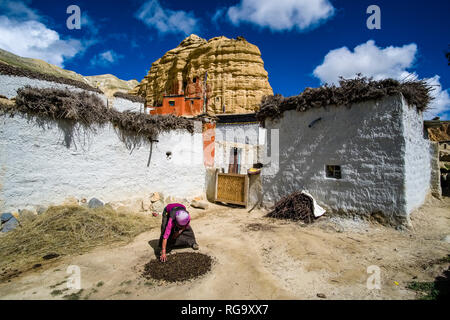 Eine lokale Frau arbeitet in einem weiß gestrichenen, traditionellen Haus, das Kloster Nifuk Gompa, unterhalb einer Felswand befindet sich in der Entfernung Stockfoto