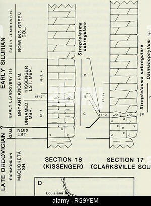 . Bulletins der amerikanischen Paläontologie. Ordovician-Silurian Rugose Korallen: McAuley und Elias 13. /Ov ^^y,/^^///^/?  / - //, //, /S/::/^^/J° | o"° | o^/VN^b. Bitte beachten Sie, dass diese Bilder sind von der gescannten Seite Bilder, die digital für die Lesbarkeit verbessert haben mögen - Färbung und Aussehen dieser Abbildungen können nicht perfekt dem Original ähneln. extrahiert. Paläontologische Forschung Institution (Ithaca, N.Y.); Columbia University. Ithaca, N.Y., paläontologische Forschung Institution [etc. ] Stockfoto