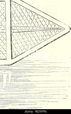 . Bulletin de la Socit impriale zoologique d'Acclimatation. Socit impriale zoologique d'Acclimatation; Tiere; Zoologie, Wirtschaft, Botanik, Wirtschaftliche. . Bitte beachten Sie, dass diese Bilder sind von der gescannten Seite Bilder, die digital für die Lesbarkeit verbessert haben mögen - Färbung und Aussehen dieser Abbildungen können nicht perfekt dem Original ähneln. extrahiert. Socit impriale zoologique d'Acclimatation. Paris: La Socit Stockfoto