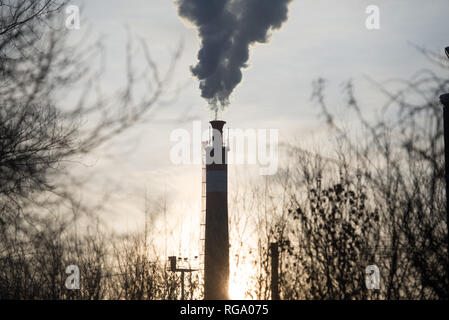 Dichter Rauch aus dem Schornstein der Fabrik gegen die aufgehende Sonne. Äste ohne Blätter. Silhouette einer rauchen Rohr und Zweige. Stockfoto