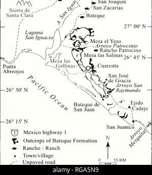 . Bulletins der amerikanischen Paläontologie. Baja California Stratigraphie: Carreno und Smith 37 13 113°30' W San Angel/Sierra dc,, Santa Clara 1 112°15'W Jjy^ ein Ignacio 27°15' N -^ San Joaquin •^ ein Zacarias r Bateque 27°00' N - Mesa el Jao ^ Arroyo Patrocinio - • - Ra'ncho Patrocino Mesa las Salinas 250 45' jj . Ffl Mexiko Highway 1^ Aufschlüsse aus Bateque Bildung - • - Ranch - Ranch • Townyvillage ", unbefestigte Straße 112°30'W Ich. Bitte beachten Sie, dass diese Bilder aus gescannten Seite Bilder, die digital für die Lesbarkeit verbessert haben mögen - Färbung und Aussehen Dieser Lllustrat extrahiert werden Stockfoto