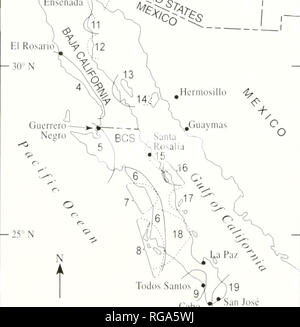 . Bulletins der amerikanischen Paläontologie. 10 Bulletin 371 ICH CALIF. * L (ist Aiit^ clcs1r "^^San Difgo;" "j'Jr Tiiuana iXT ich EnsenacJ: i (. •, ^U 113' W lir W ARIZONA l | (w w. 117 W 115' 0 (1'n Jose San Lucas j'^ ICaho Â±Text-ligure 2. âEmbaymeiUs. Karte sliowing soulhern Kalifornien. LI. S. A. in Cabo San Lucas, Baja California Sur, Mexiko. North, South, Platte 1:. Los Angeles Becken; 2, San Diego einbayment (En-cinitas, Kalifornien, nach La Joya, B.C.), überlappen. s3, Rosarito enibay, einschließlich Tijuana und La Mision Becken; 4, Rosario cnibay; S, Vizcafno embayinent; 6, Western embay Stockfoto