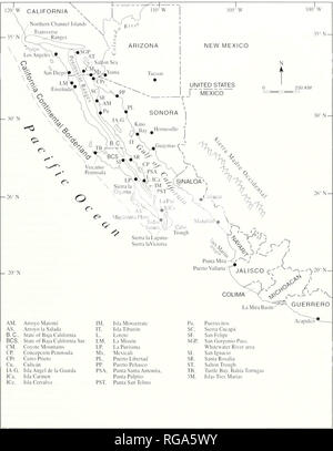 . Bulletins der amerikanischen Paläontologie. Baja California Stratigraphie': Carreno und Smith. Text - Abbildung I. - Alte und Moderne Golf von Calitbrniu und die Halbinsel Baja California, Index Karte shownig die wichtigsten geografischen Standorten in diesem Papier zitiert. Karte von J. T Smith (IWIc). geändert. Bitte beachten Sie, dass diese Bilder sind von der gescannten Seite Bilder, die digital für die Lesbarkeit verbessert haben mögen - Färbung und Aussehen dieser Abbildungen können nicht perfekt dem Original ähneln. extrahiert. Paläontologische Forschung Institution (Ithaca, N.Y.); Columbia University. Ithaca, N.Y. Stockfoto