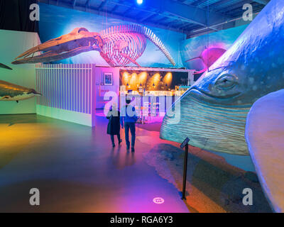 Walmuseum, Reykjavik, Island Stockfoto