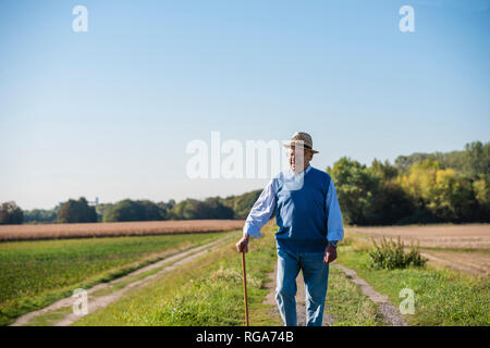 Älterer Mann mit einem Stock, zu Fuß in die Felder Stockfoto