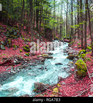 Herbst im Nationalpark Pollino, Italien Stockfoto