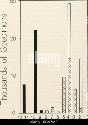 . Bulletins der amerikanischen Paläontologie. 200 Bulletin 357 unten als späten Miozän, pliozäne und pleistozäne aus jeder der drei Becken). Digitale Bilder und diagnostische Zeichen der gemeinsamen Taxa werden auf dem World Wide Web site der Neogene Marine Fauna des tropischen Amerika (NMITA) taxo-nomic Datenbank System (nmita. Geologie. uiowa.edu). platziert 4. Es wurde nicht versucht, zu überarbeiten (auch informell) Numerisch wichtige problematische Taxa wie Tiirritella, Anadara (rasia). Und die meisten turrids wegen Mangel an Zeit, obwohl sie fast cer-tainly gehören zahlreiche, nicht erkanntes Untergattung Stockfoto