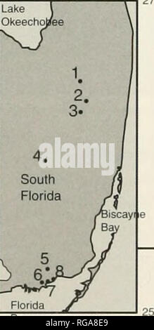 . Bulletins der amerikanischen Paläontologie. 2000-Si 1800^1600 1400-I, 1200 1000 -&gt; T3 HI 800 - 600 400 - 200 - 0 - Jahr Cattails Standort 1 Standort 2 Trockner Slough Slough Sawgrass/Slough Slough Mosaik trockener Slough Slough Sawgrass/Slough Mosaik Slough Bulletin 361 Weedy Sawgrass Marsh Seite 3 / Seite 4 Seite 5 Wet Prairie Seite 6/Seite? Seite 8 Slough Sawgrass Marsh Trockner Slough Slough Slough Sawgrass Marsh Slough nasse Wiese und Sawgrass Marsh Gemischt gestört. o Mangrove Bay Mangrove gemischt Brack- und Süßwasser-Sumpf nasse Wiese und Sawgrass Marsh Mangrove gemischt Bracl &Lt;ish und frisches Wasser Ma Stockfoto