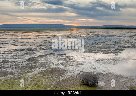 Salz Teiche in der San Francisco Bay Stockfoto